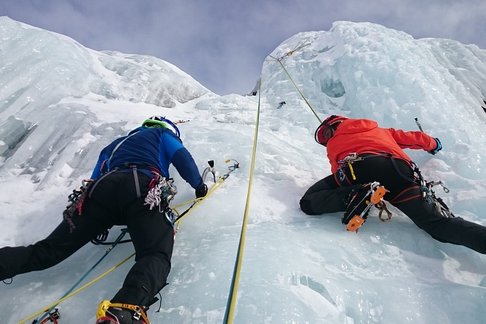 세계 주요 언론사들은 높고 차가운 디지털 플랫폼의 빙벽을 오르기 시작했다.