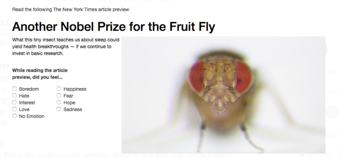 이 기사의 느낌은 어떤가?