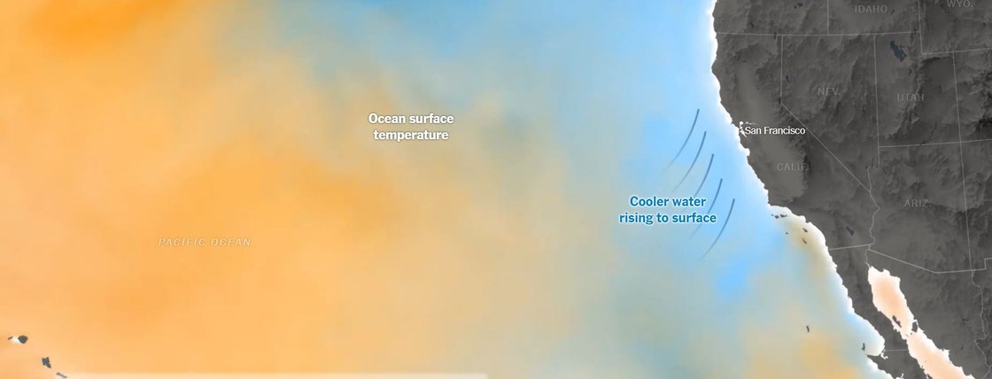 샌프란시스코 지역의 기후변화를 다룬 뉴욕타임스 기획 보도