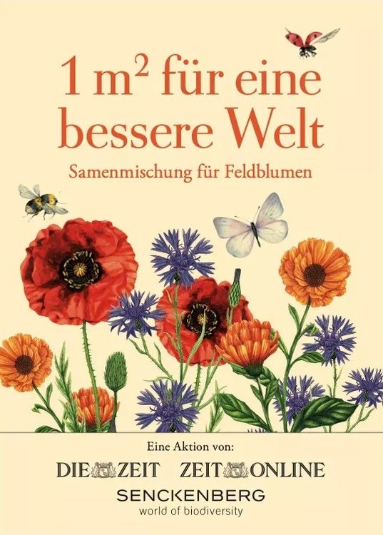 Zeitshop_adobe_express